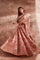 Nakshatra Lehenga - Studio Iris India